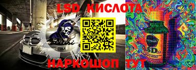 ГАЛЛЮЦИНОГЕННЫЕ ГРИБЫ Гусев