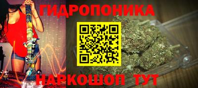 не бодяженный Кингисепп