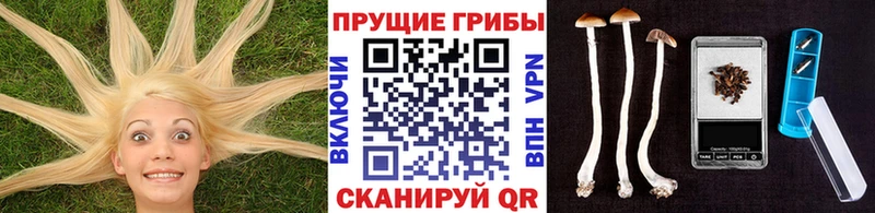 Псилоцибиновые грибы ЛСД  как найти наркотики  Кизляр 