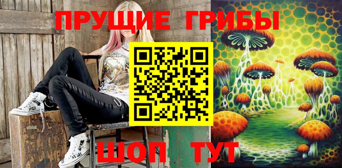 Галлюциногенные грибы Cubensis  Кизляр  Галлюциногенные грибы GOLDEN TEACHER 